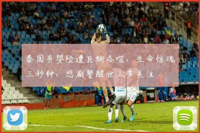 泰国弃婴险遭巨蜥吞噬，生命惊魂三秒钟，悲剧警醒世人多关注