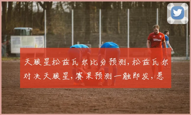 天狼星松兹瓦尔比分预测,松兹瓦尔对决天狼星,赛果预测一触即发,悬念待解