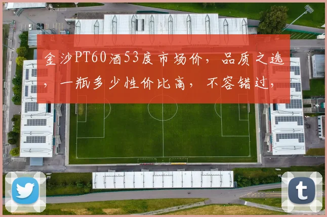 金沙PT60酒53度市场价，品质之选，一瓶多少性价比高，不容错过，抢购从速