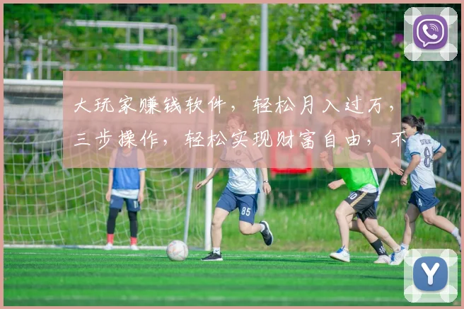 大玩家赚钱软件，轻松月入过万，三步操作，轻松实现财富自由，不容错过